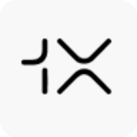 1X logo